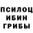 Псилоцибиновые грибы Magic Shrooms DIAZ NUTS