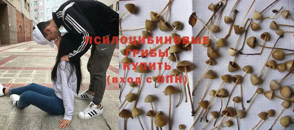 марки nbome Сясьстрой