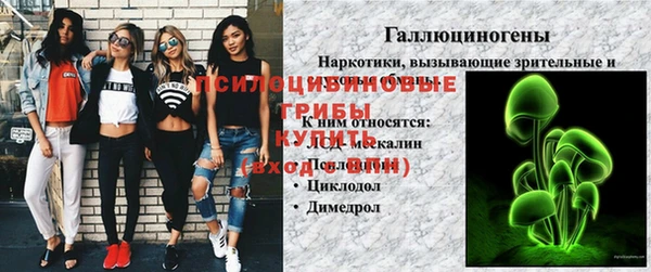 соль ск Белокуриха