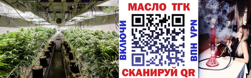купить  сайты  Княгинино  ТГК THC oil 