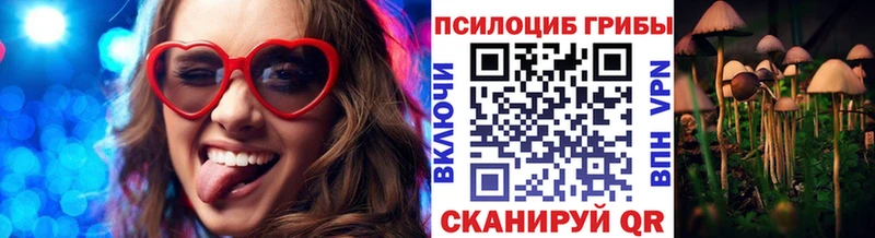 купить наркотик  Княгинино  Галлюциногенные грибы GOLDEN TEACHER 